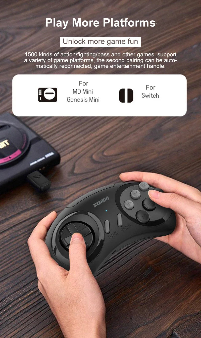 SG800 Retro Game Console